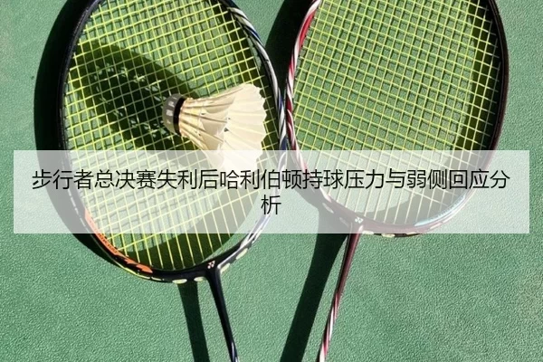 bu-xing-zhe-zong-jue-sai-shi-li-hou-ha-li-bo-dun-chi-qiu-ya-li-yu-ruo-ce-hui-ying-fen-xi-2-371.jpg